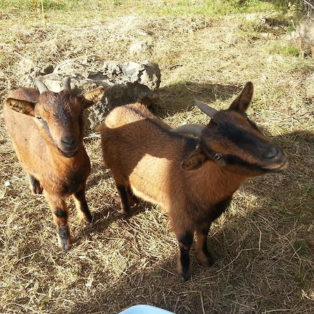 Camping Parc Saint Sauvayre Vagnas エクステリア 写真